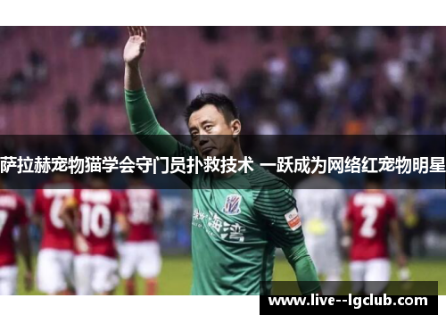 萨拉赫宠物猫学会守门员扑救技术 一跃成为网络红宠物明星